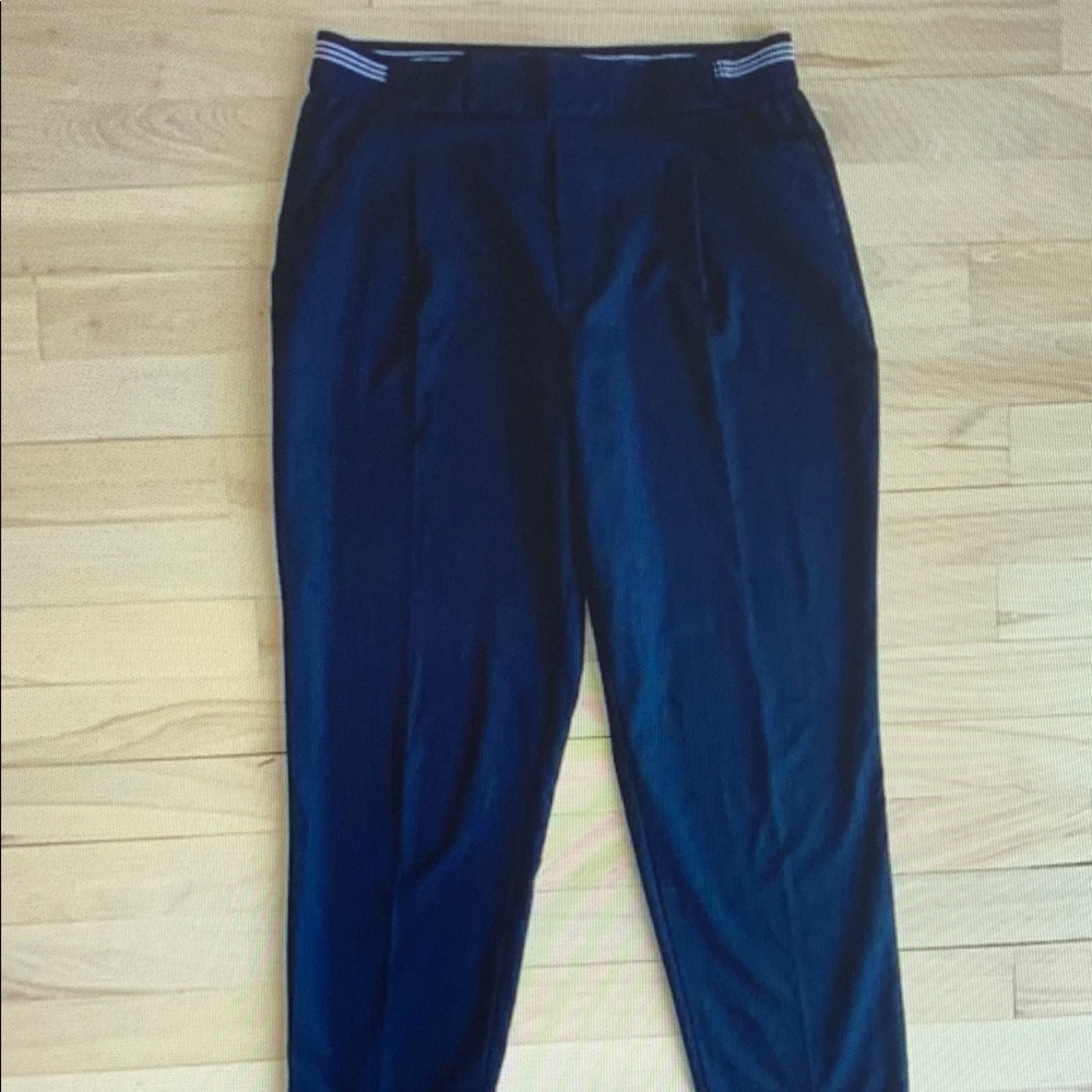 Zara Navy Blue Pants